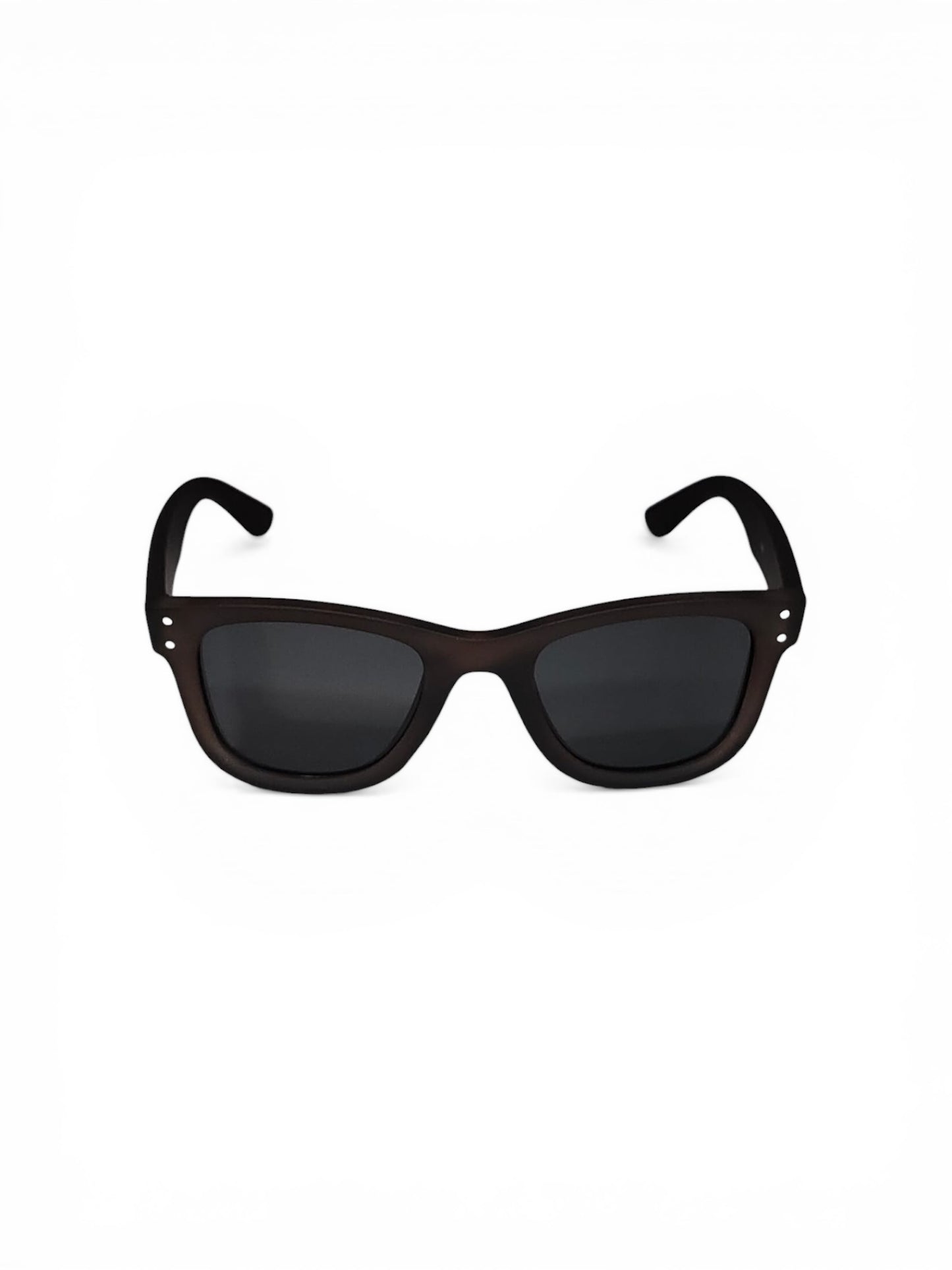 RB Wayfarer Unisex Sunglass