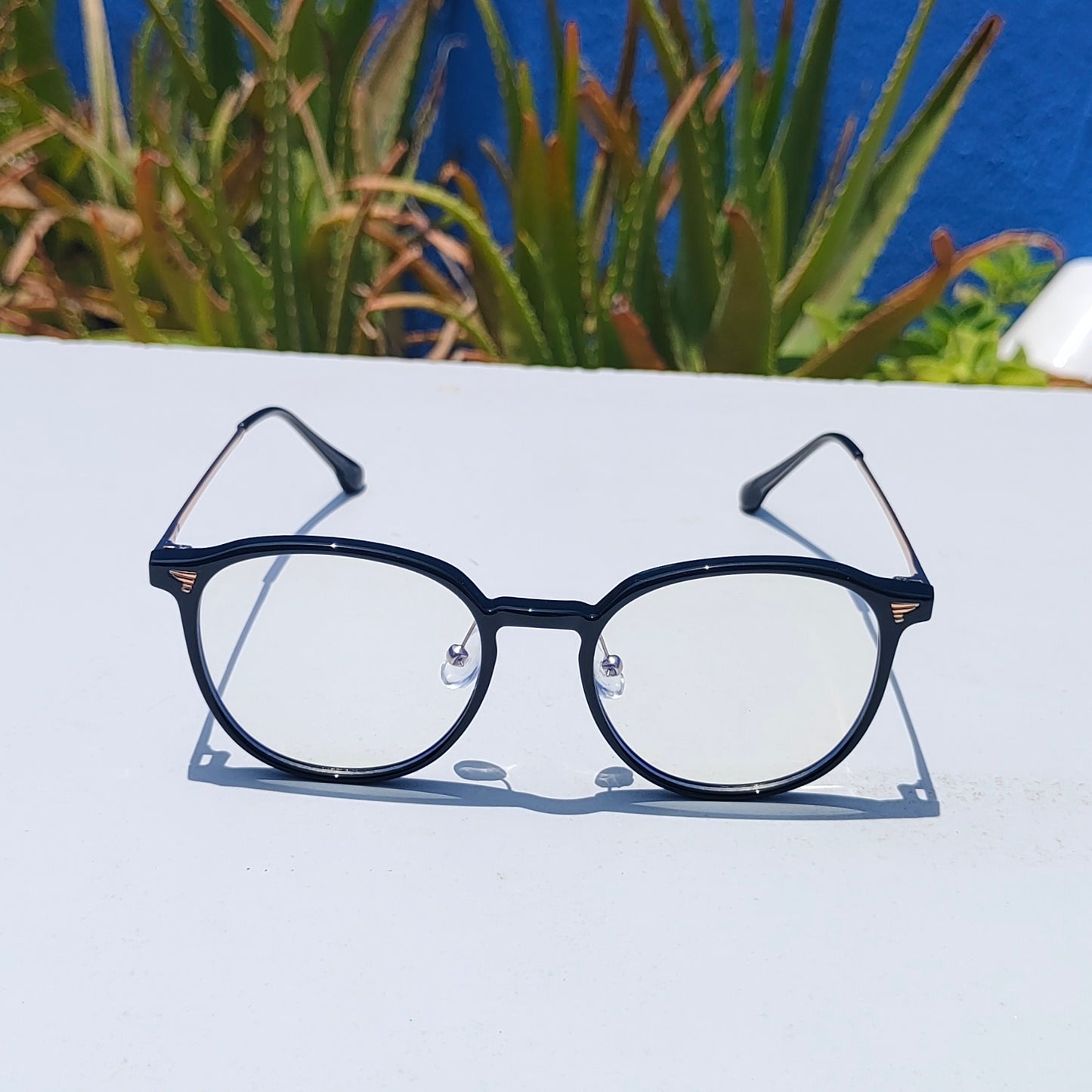Oval unisex frame with blue ray glasses 01247