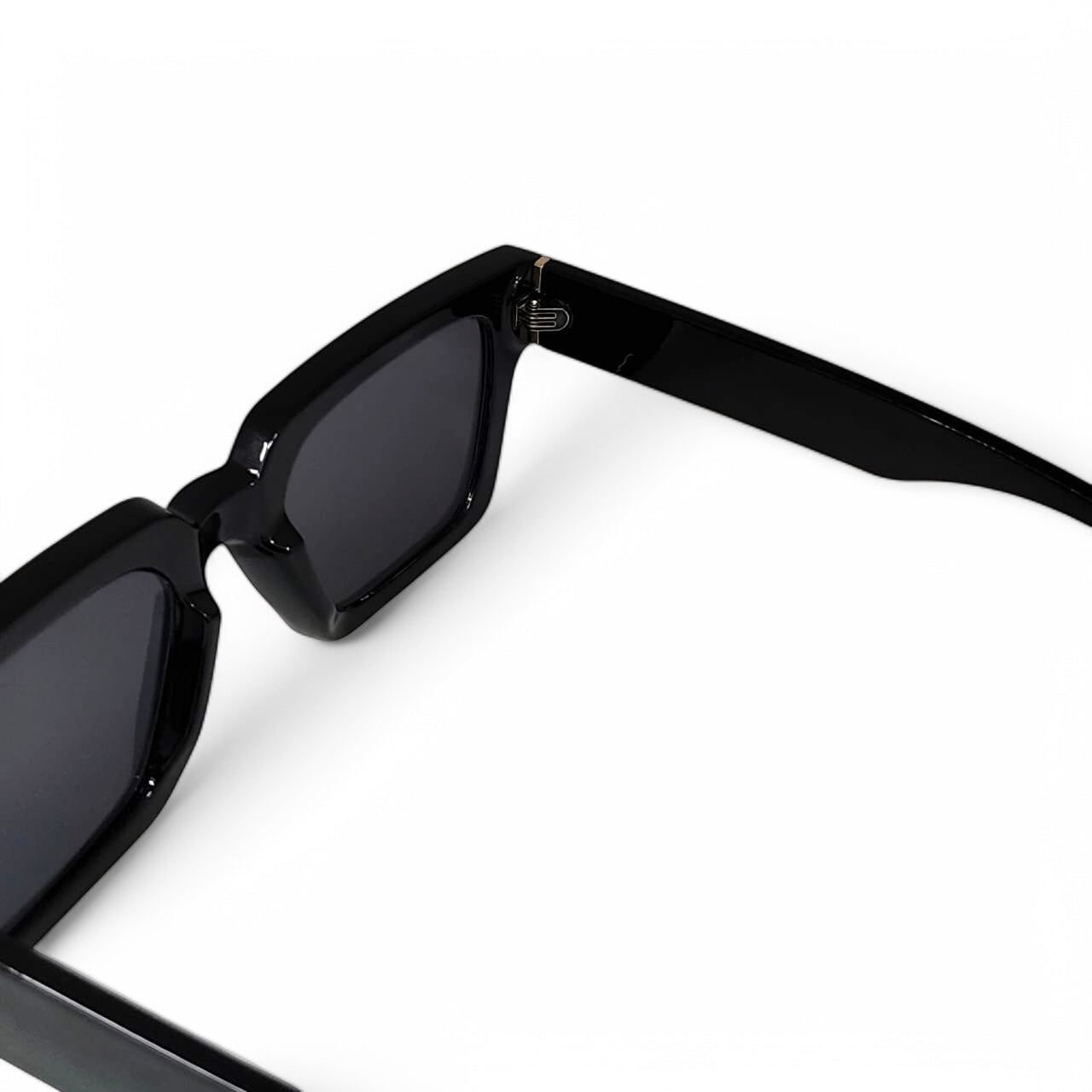 SLR 650 Unisex Sunglasses