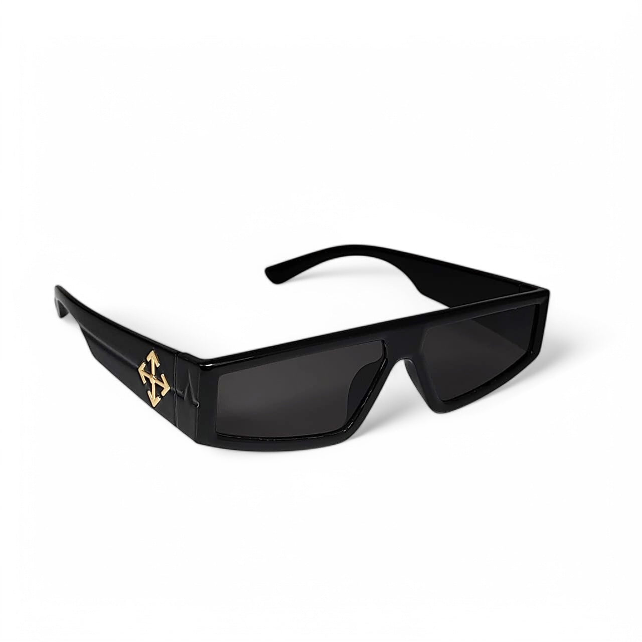 Prime Compass Sunglass