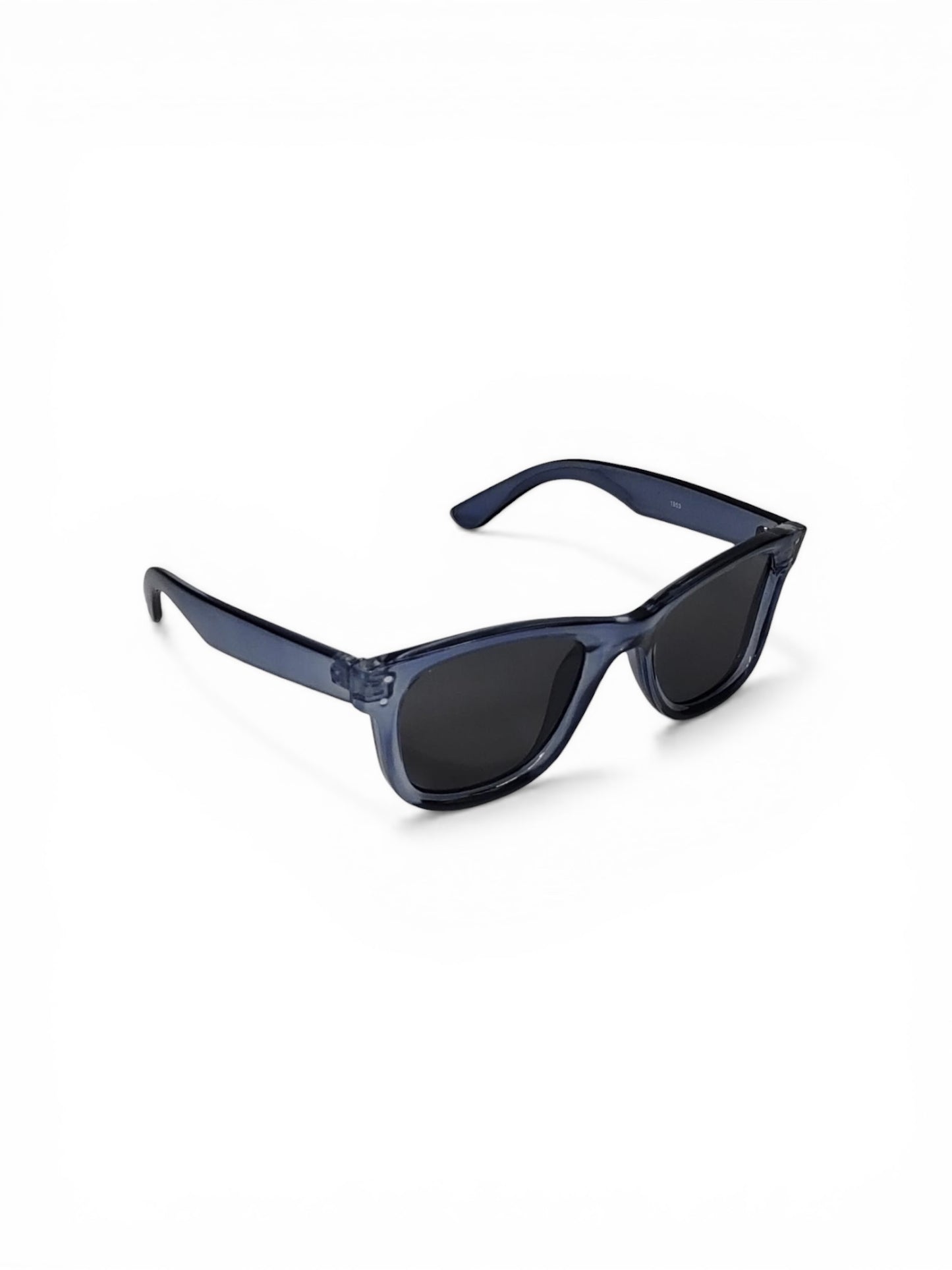 RB Wayfarer Unisex Sunglass