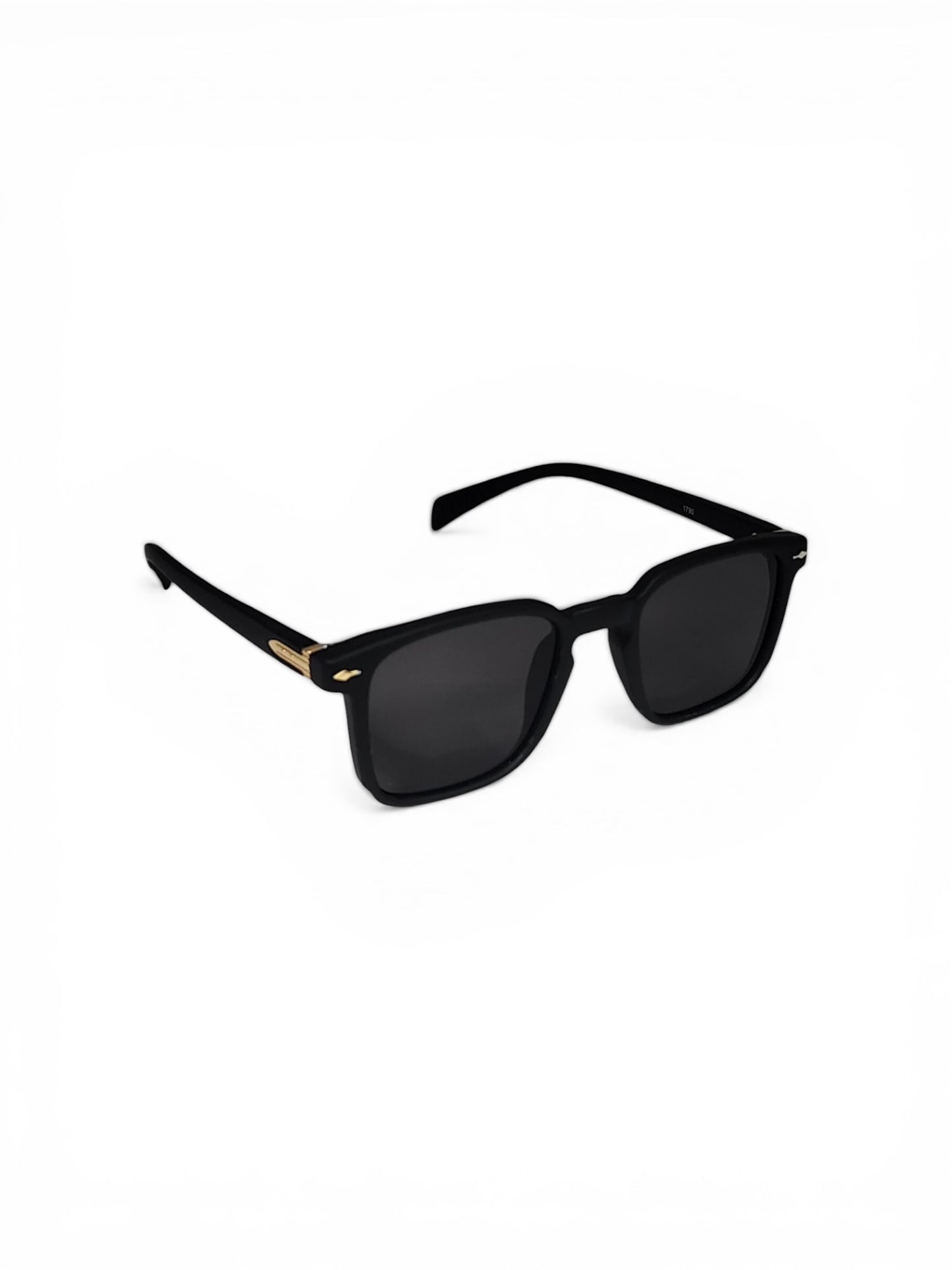 Square Unisex Wayfarer Sunglass