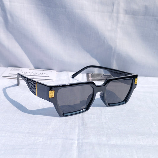 Geometric Wayfarer