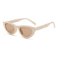 Tinted Cat Eye Sunglasses